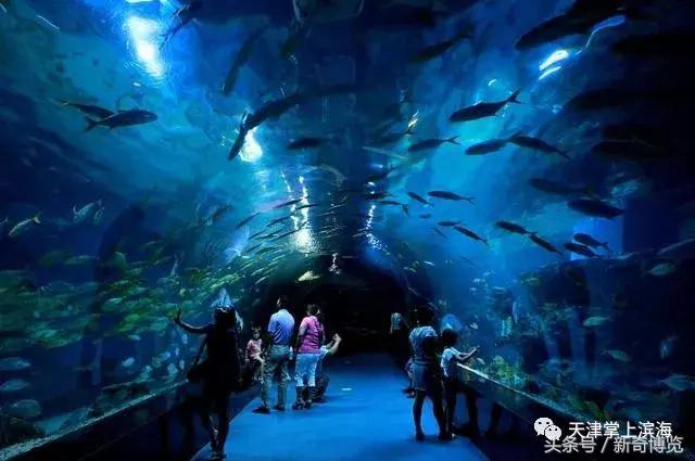 塘沽有什么好玩的?带上这份攻略让你玩上三天三夜不带重样