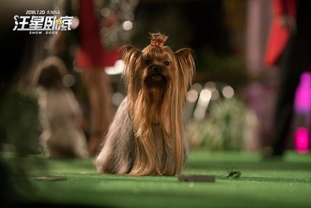 ���˸繷��ӰϷ(�������Եס�Ȯ���������永 �Ե�����Ц����٣�)