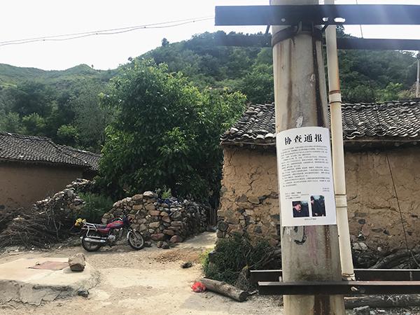 旧时光里的帆布少年txt下载(旧时光里的帆布少年txt)