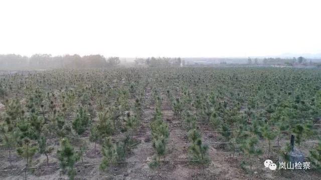 东营洗砂机软起动柜生产厂家