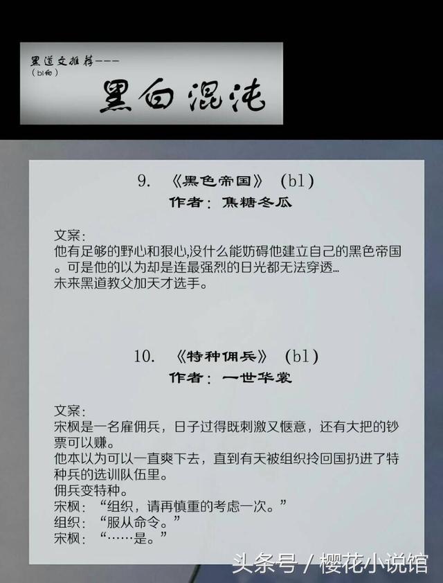 关于黑社会的小说