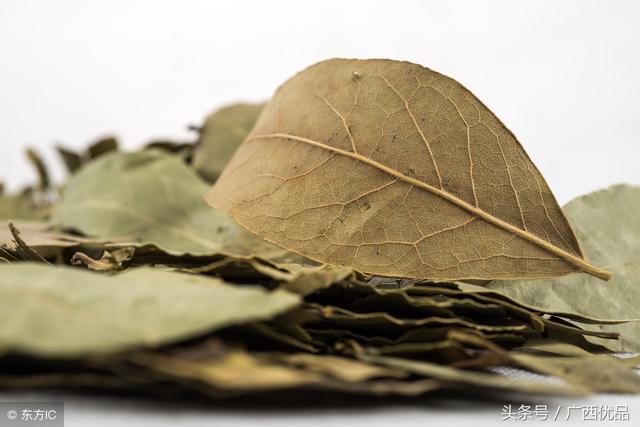 不同动物的辨味方法