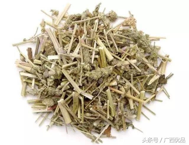 不同动物的辨味方法