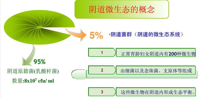 bv检查阳性什么意思