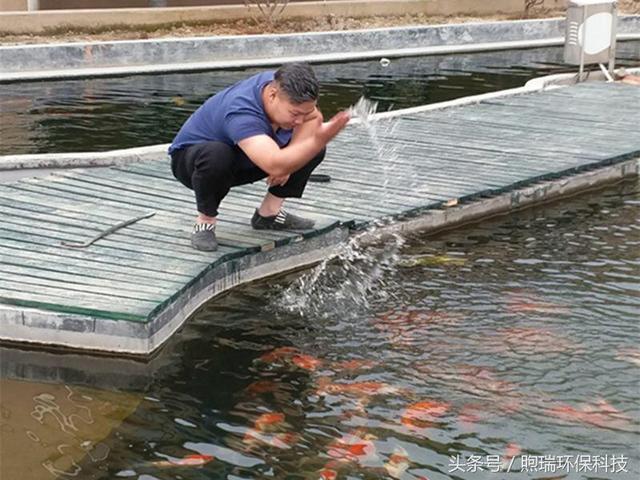 转鼓过滤机锦鲤