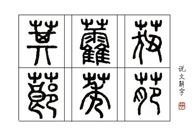 曹植作《七步诗》原文(七步诗曹植全诗的意思,七步诗古诗)_手工miao