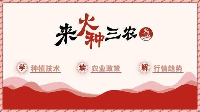 葡萄病虫害，怎么防，用什么药？都在这里7