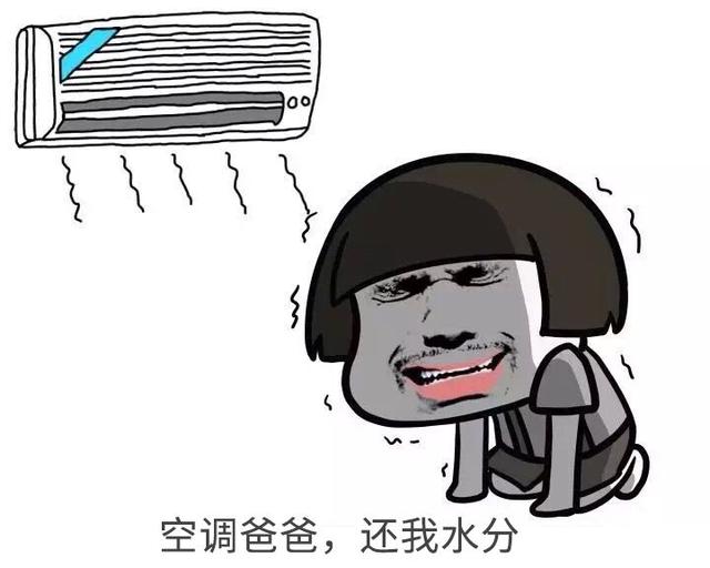 晒太阳后涂芦荟胶好还是身体乳好