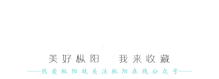 包含安徽专业真空过滤机推荐的词条