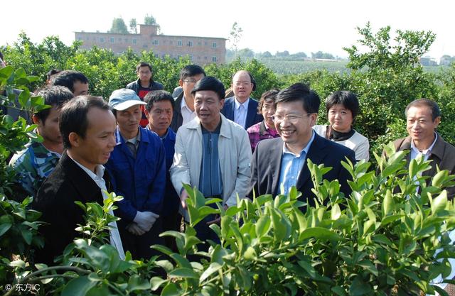 砂糖橘全年重点防治病虫害资料，供大家参考！