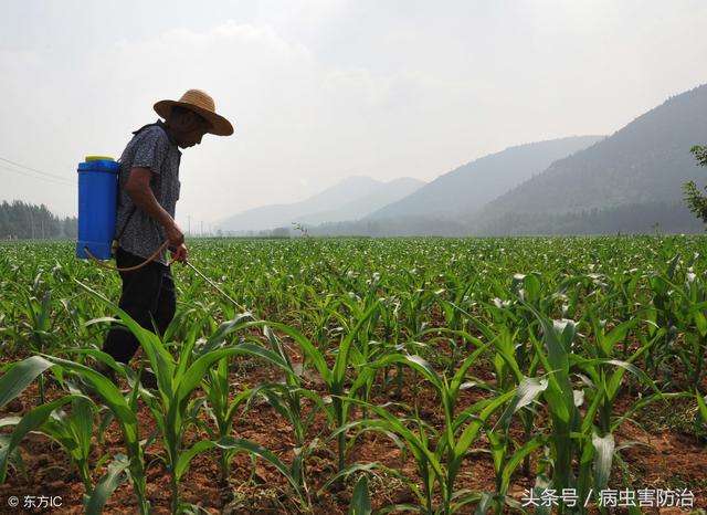 蔬菜常用除草剂速查表，以及常见除草剂特性总结和10个使用注意