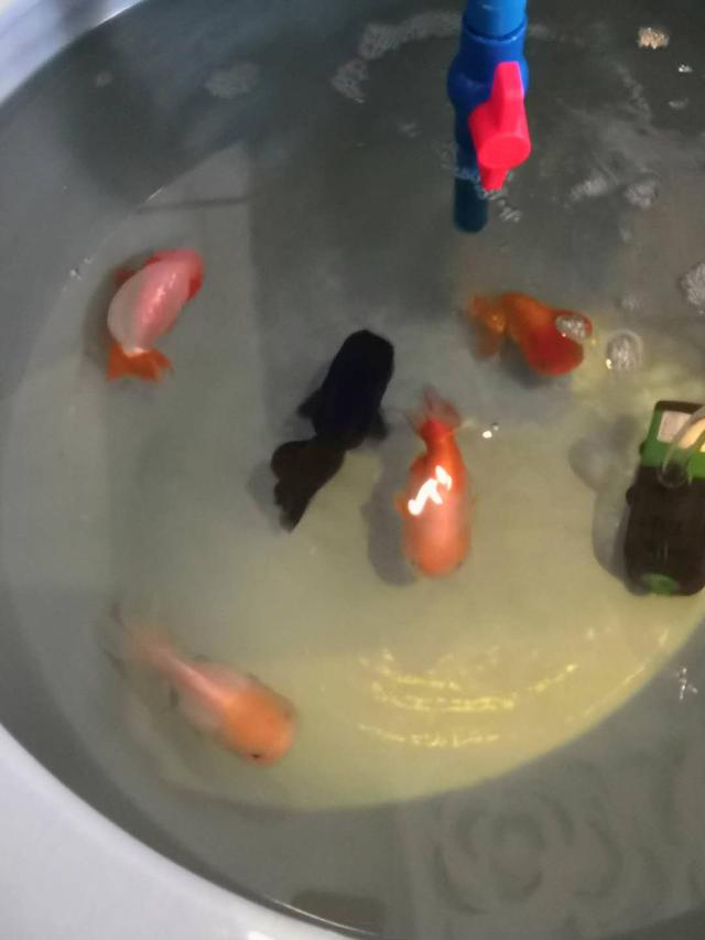关于陶瓷滤片过滤机的信息