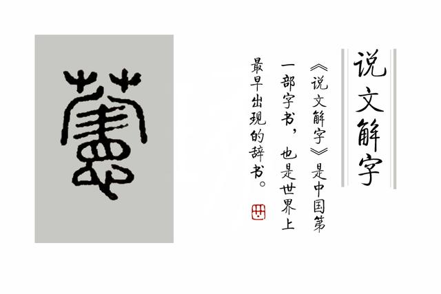 忘忧草是什么