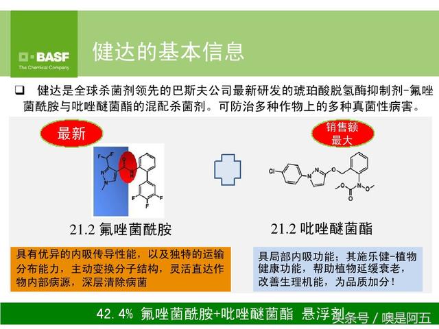 继百泰之后，巴斯夫强势打造又一个旗舰杀菌剂，进入一个新时代4