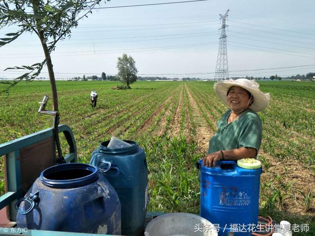 花生三遍药第三遍具体什么时间打？有什么作用3