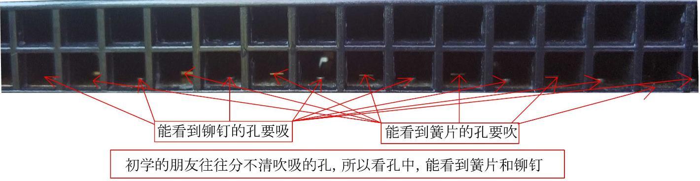 初学口琴(初学口琴选哪种口琴)