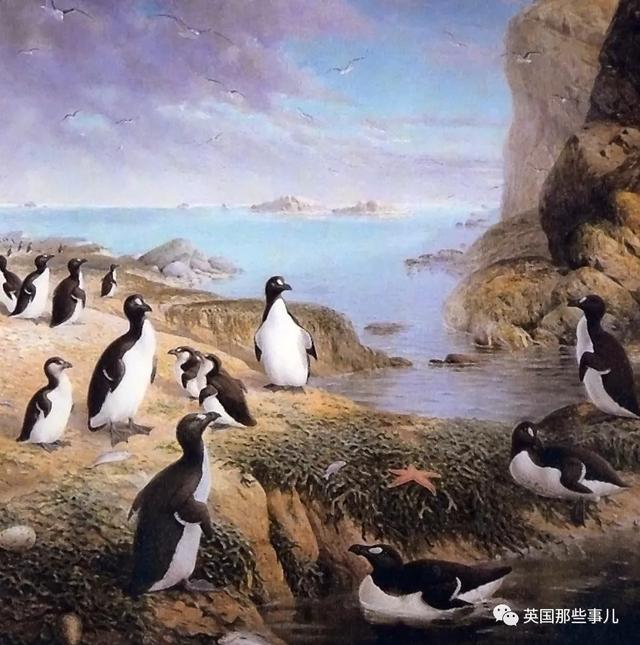 北极熊不吃企鹅