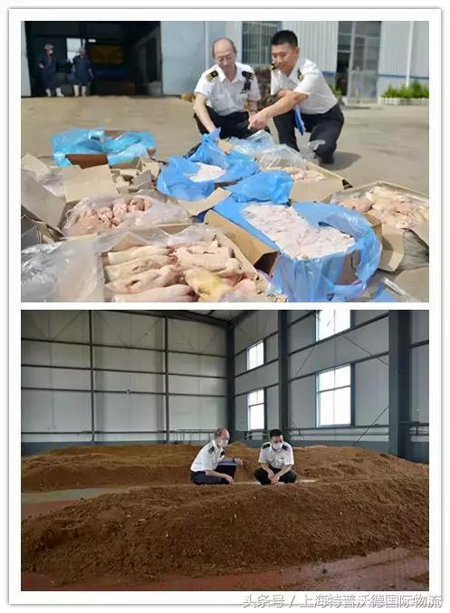 冰块冻肉破碎机