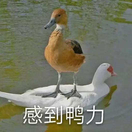 瓜米石用哪种型号制砂机制沙