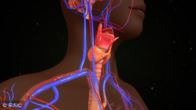 甲状腺检查cdfl是什么意思