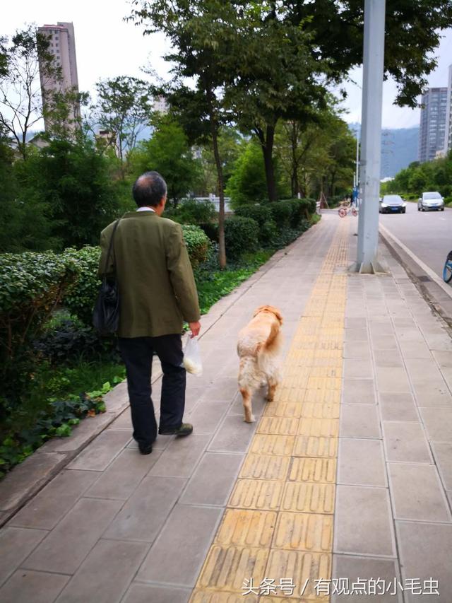 冷门白手起家的行业(学习必备，一定得看)