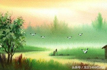 关关雎鸠是什么意思