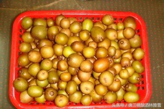 果酒杀菌过滤机_低度果酒怎样杀菌