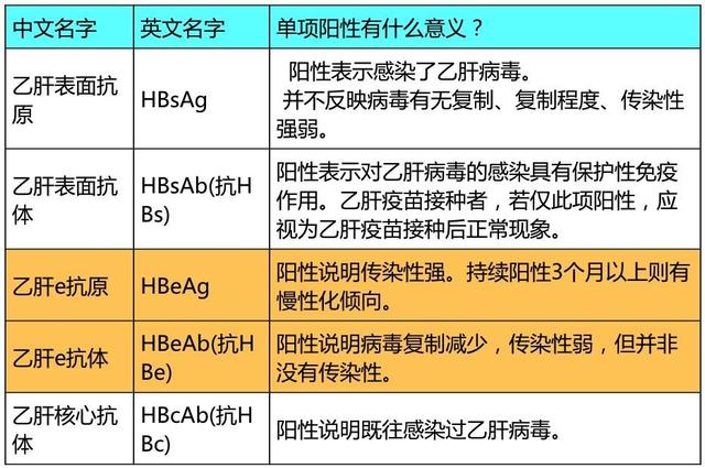 检查乙肝二对半定性是什么意思