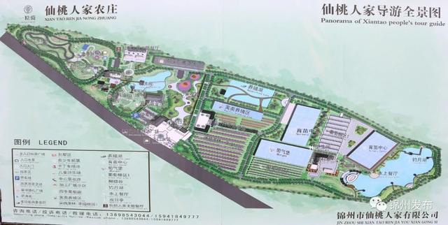 仙桃真空过滤机