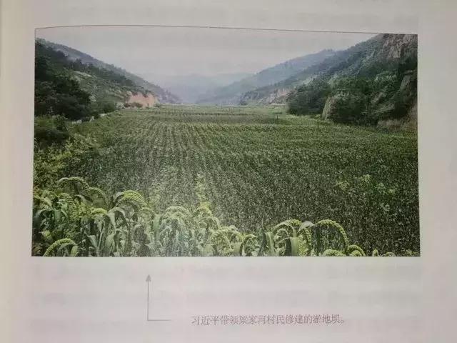 绵阳直立式破碎机规格