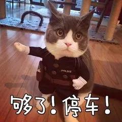 床上姿势