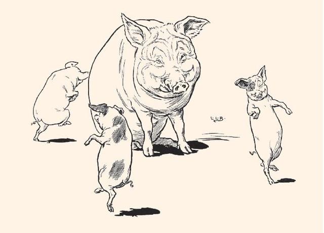 2019年特马生肖图