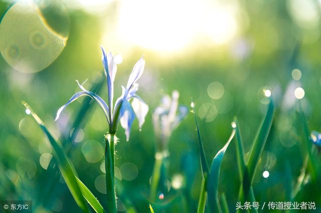 ����ר�����ĸ��(������ֳ�����ī�������ϴ�ȫ����������ġ�ף�����š�����ʫ��)