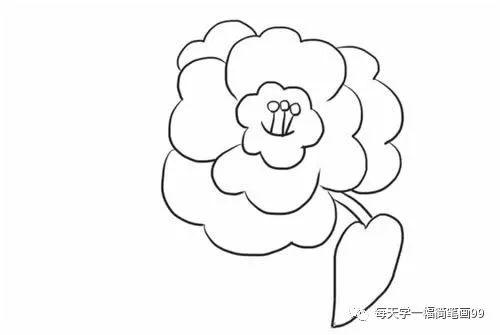 茶花简笔画