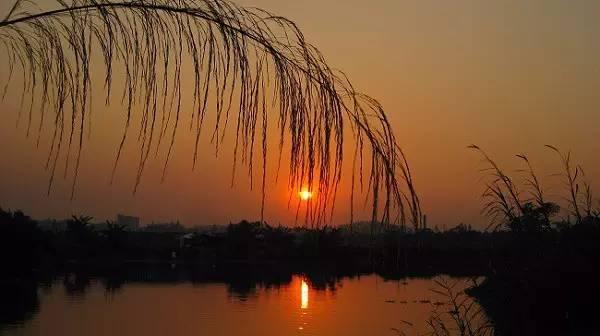 十首夕阳诗词：夕阳美如画，清风醉晚霞！