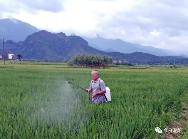 「关注」勤廉榜样人物——罗标