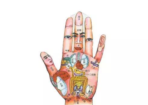 1,乾宫〔月亮丘〕:位置在小鱼际和腕横纹的上方,主要反应糖尿区和阑尾