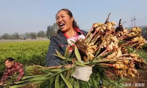 这种药剂用于土壤熏蒸，环保安全，让来年产量更高！