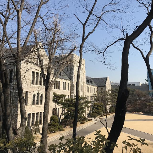 首尔大学申请条件，首尔大学录取率？
