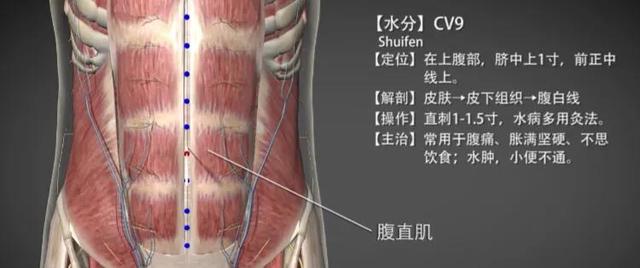 水分穴—散寒利湿消肿之效穴