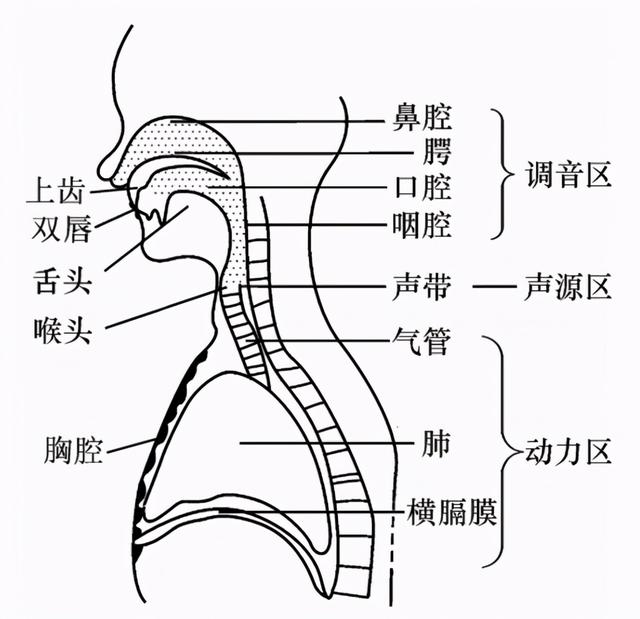 素材的素是什么意思