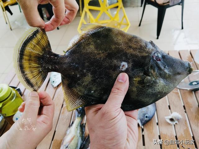 深圳竟还藏着一个“野沙滩”，开车直达，很少有人来，停车还免费