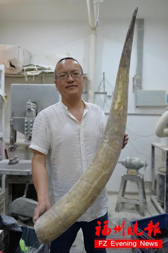牛角化脓怎么办