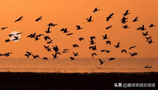 无穷无尽的意思