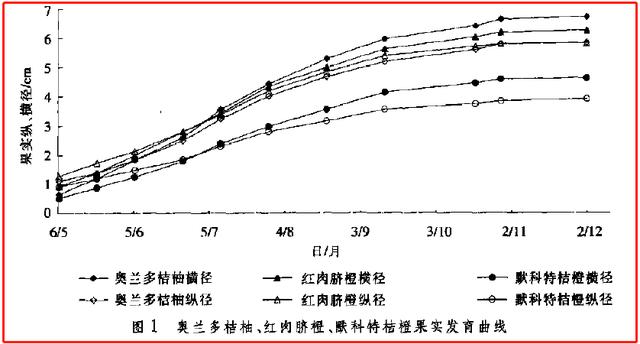 6月之后柑橘果实开始膨大，需要迅速不错营养了3