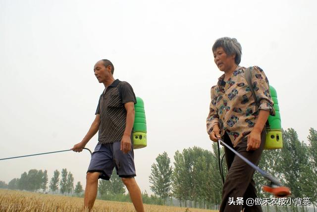 玉米地打药除草，苗前封闭除草和苗后定向除草，两种方法哪个好？