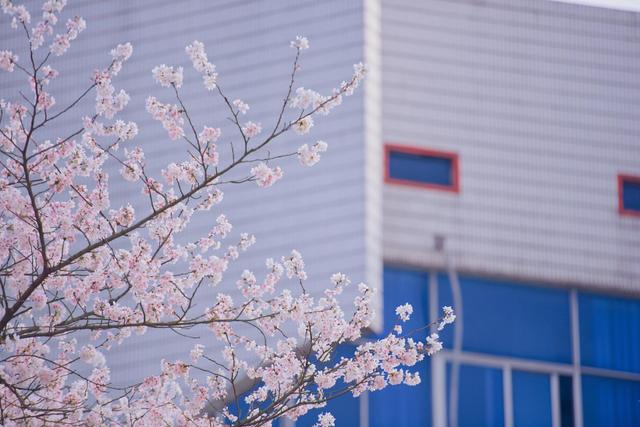 2019长沙药用机械展