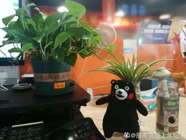 10种“脏脏”花，爱干净的人别养，会招虫子28