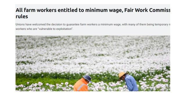华人采摘工一直在被剥削 最终！澳洲海外劳工有权获最低时薪