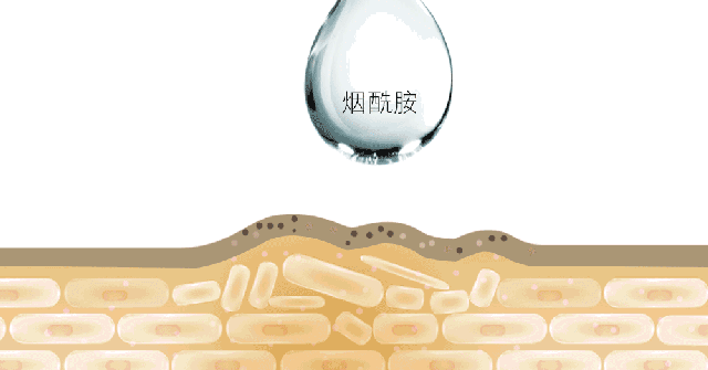 身体乳擦脚又擦身体